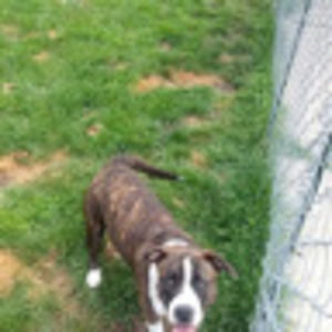 Meet your Posher, Ruby